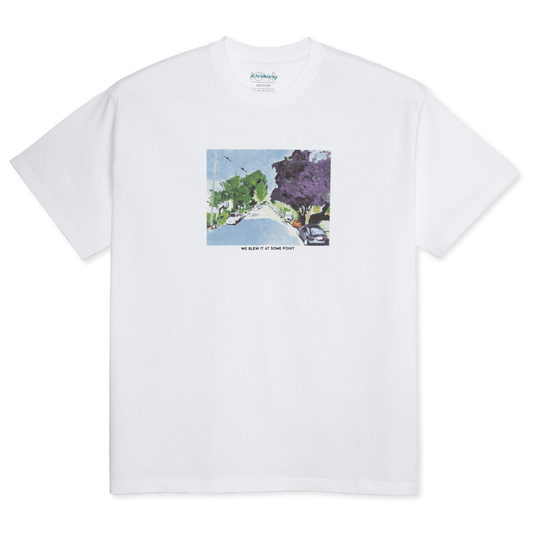 Polar Polar Skate Co We Blew It At Some Point T-Shirt | White Tees | The Vines